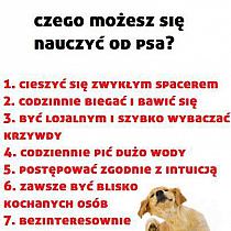 http://img2.stylowi.pl//images/items/s/201310/stylowi_pl_humor_cytaty-pozytywne_12757193.jpg